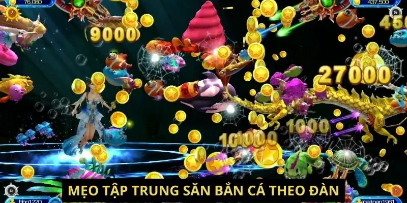 Mẹo tập trung săn bắn cá theo đàn