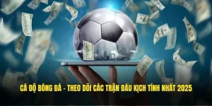 cá độ bóng đá