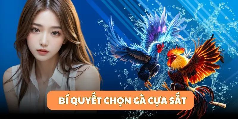 Đánh giá vũ khí trong đá gà cựa sắt